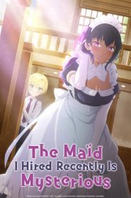 The Maid I Hired Recently Is Mysterious: Saison 1
